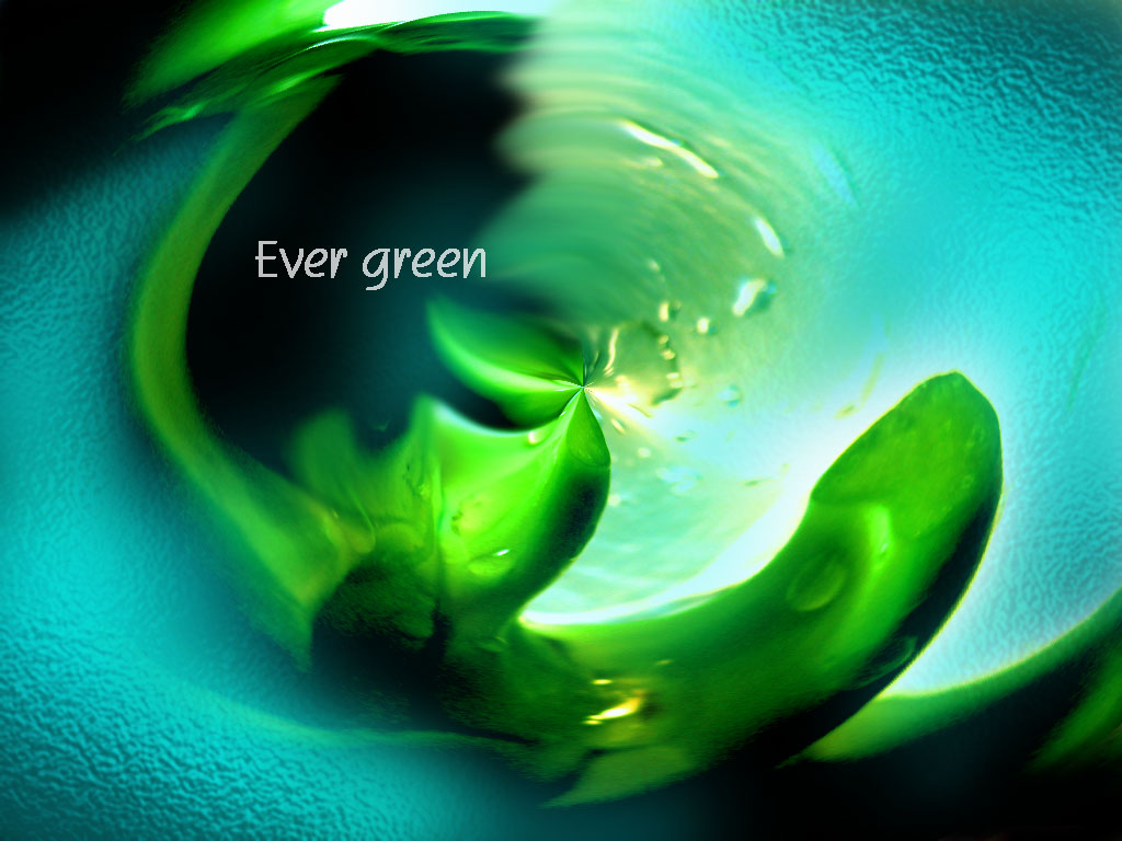 Ever Green 壁紙 11